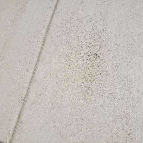 69237358_117641989580442_7186917025782956032_n